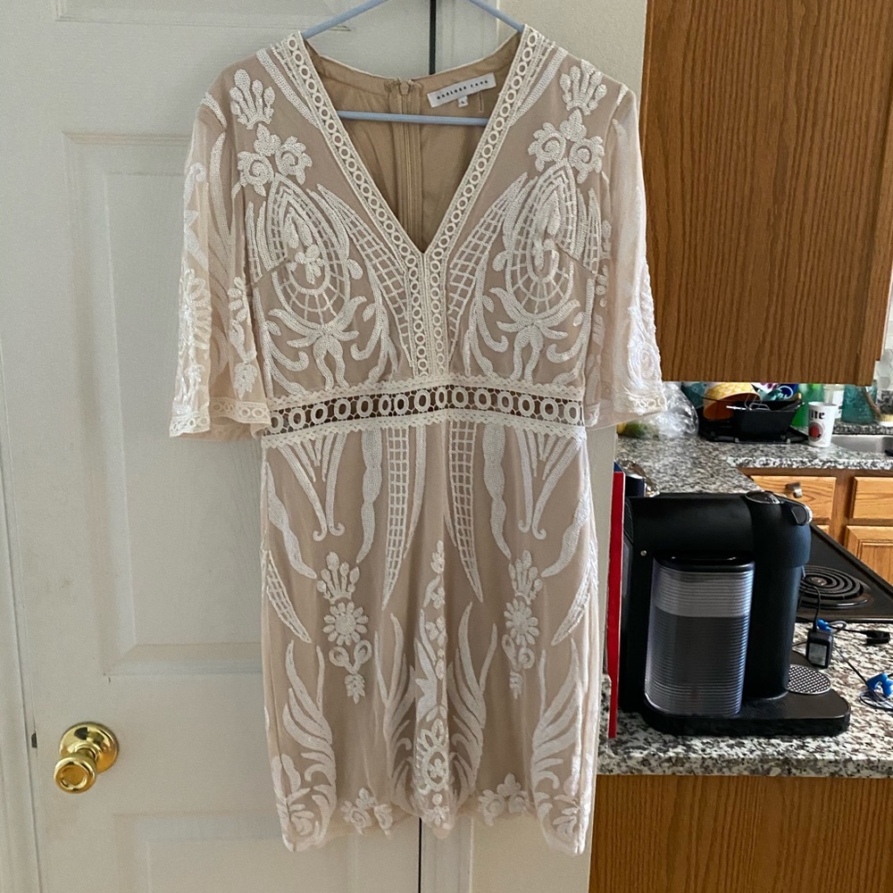 Million Times Yes Embroidered Sequin Dress (Large)